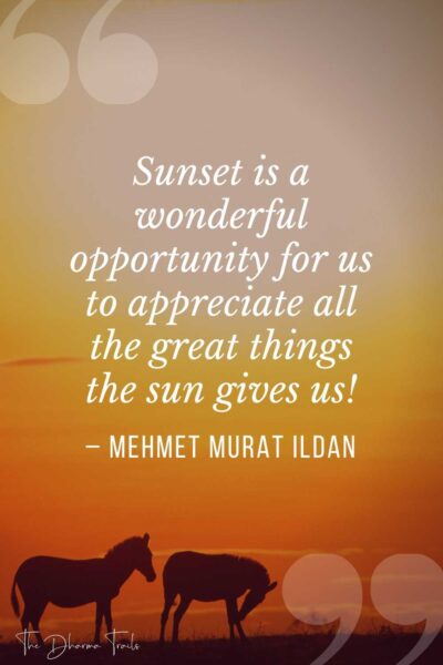 101 Unique Sunset Captions & Quotes | 2024