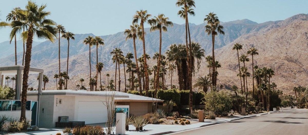 Best Things to do in Palm Springs