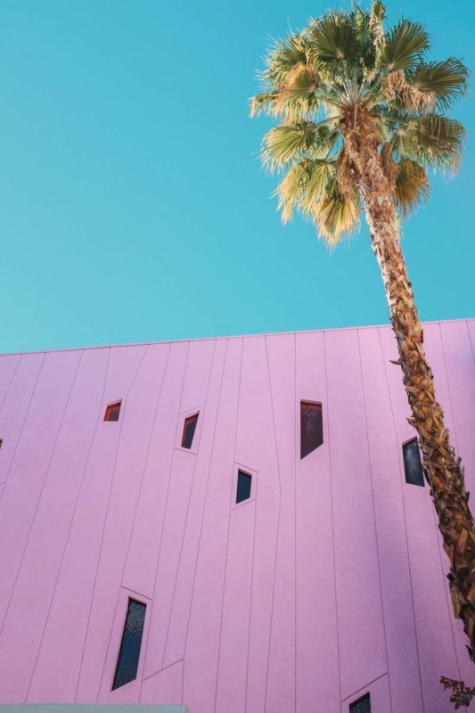 The Saguaro Pink Wall