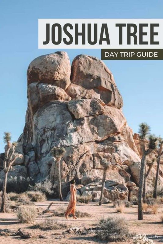 joshua tree rock formation with text overlay