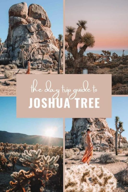 joshua tree day trip highlights with text overlay
