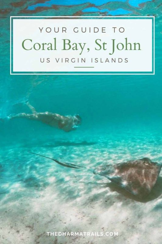 image snorkeling with a stingray with text overlay your guide to coral bay st john