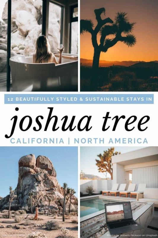 joshua tree vacation rentals with text overlay 12 joshua tree stays