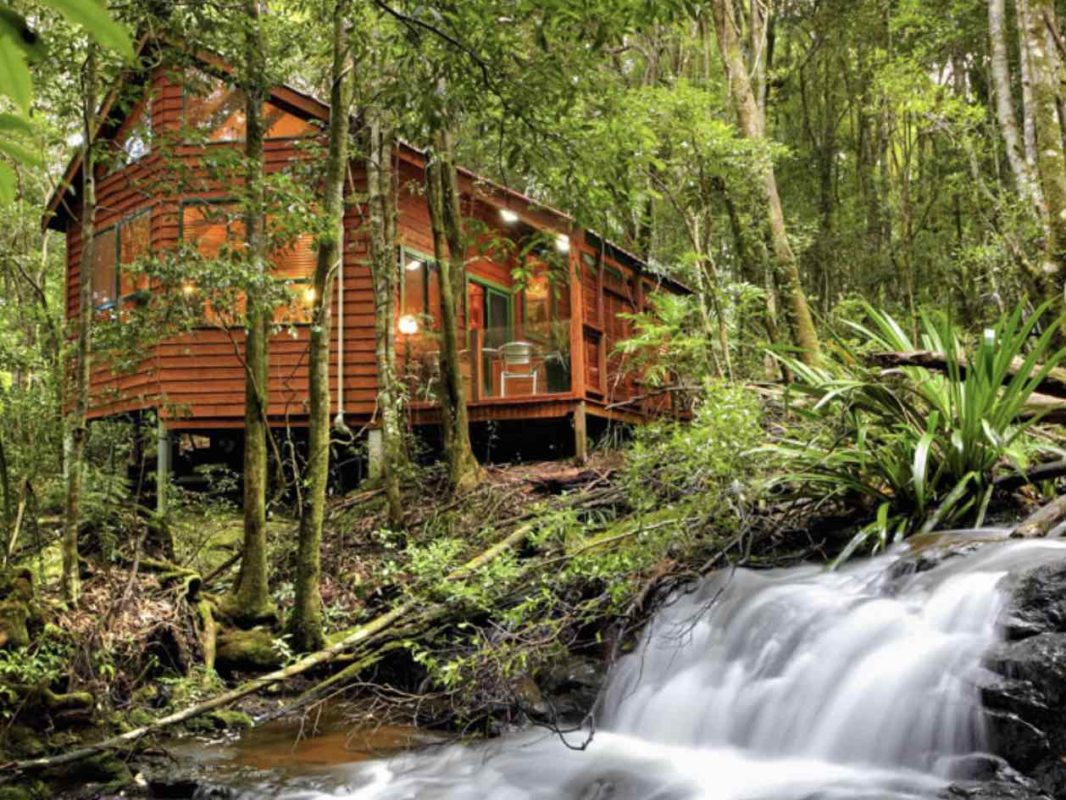 The Most Amazing Rainforests In Australia