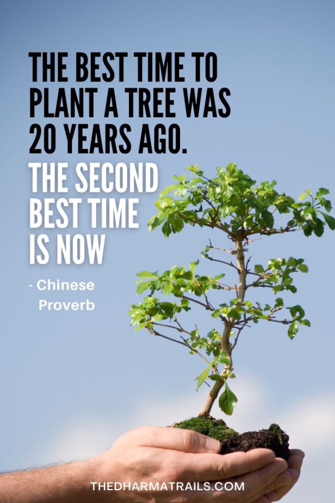 baby tree with a save earth quote
