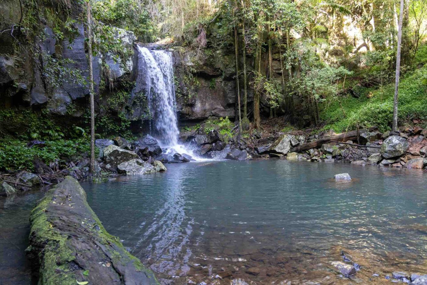 curtis falls tamborine mountain waterfall