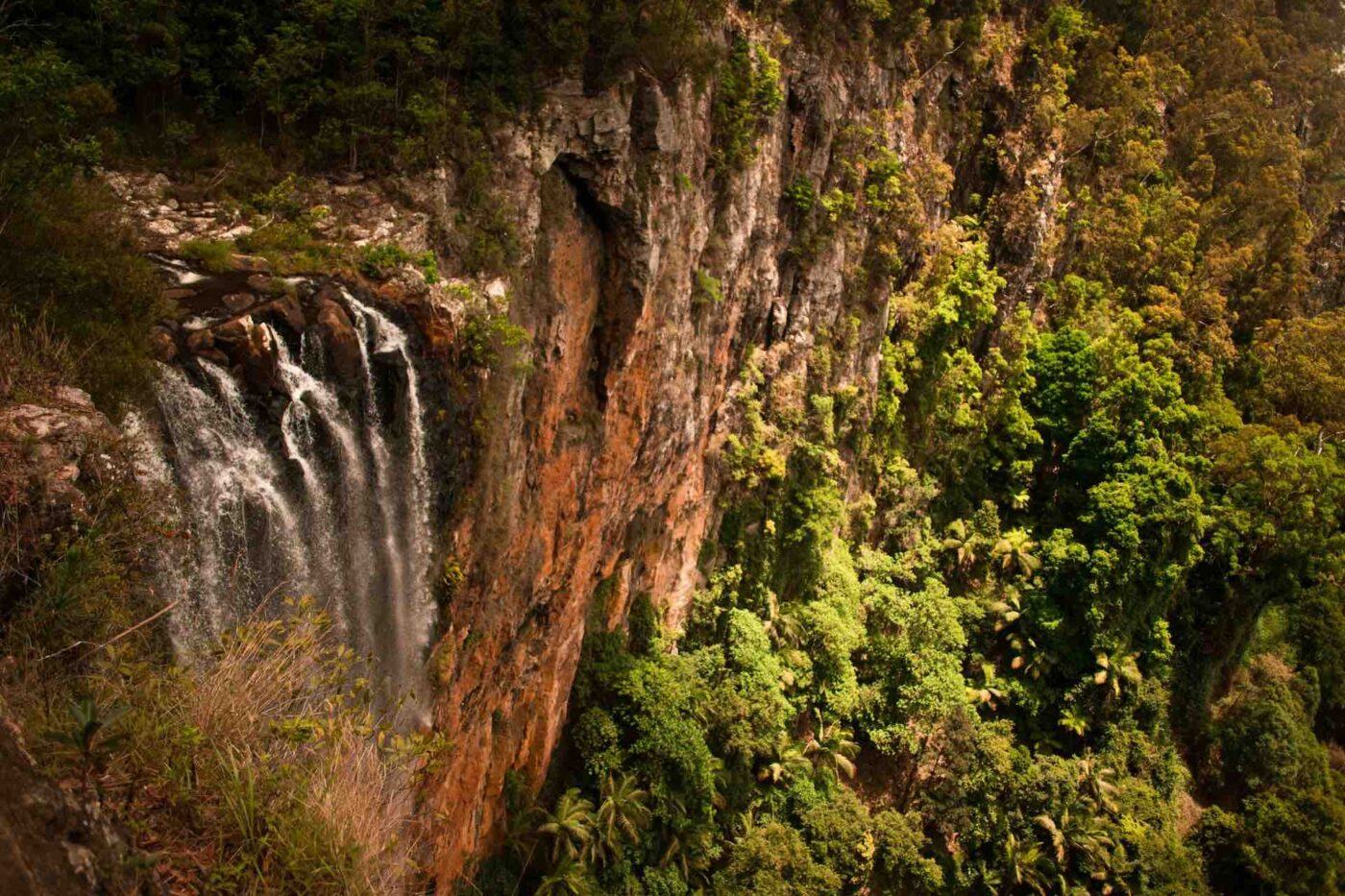 purling brook falls gold coast waterfall