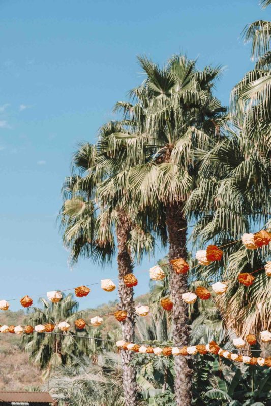 palm trees with mexican flower pom poms