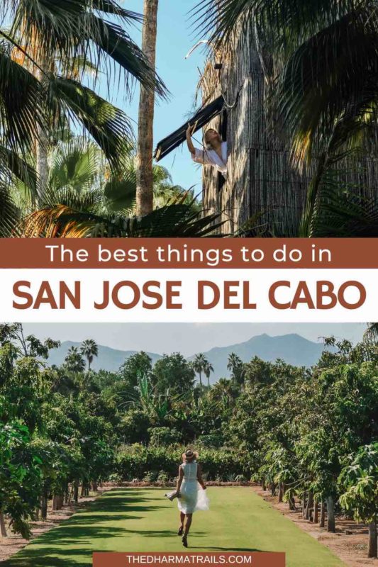 flora farms and treehouse with text overlay the best things to do in san jose del cabo