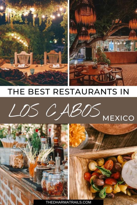 the best restaurants in los cabos mexico