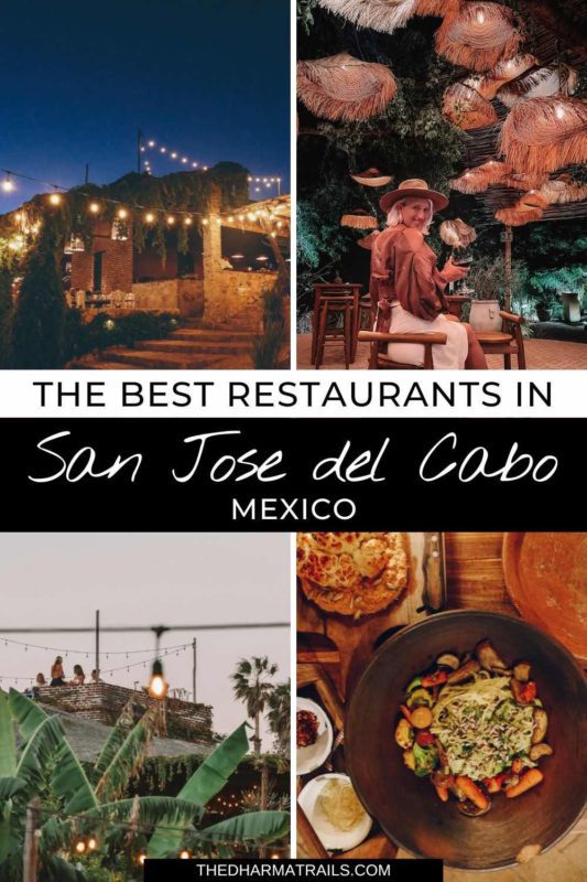 The best restaurants in san jose del cabo mexico