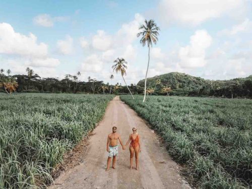 the dharma trails sustainable Australian influencers on Instagram