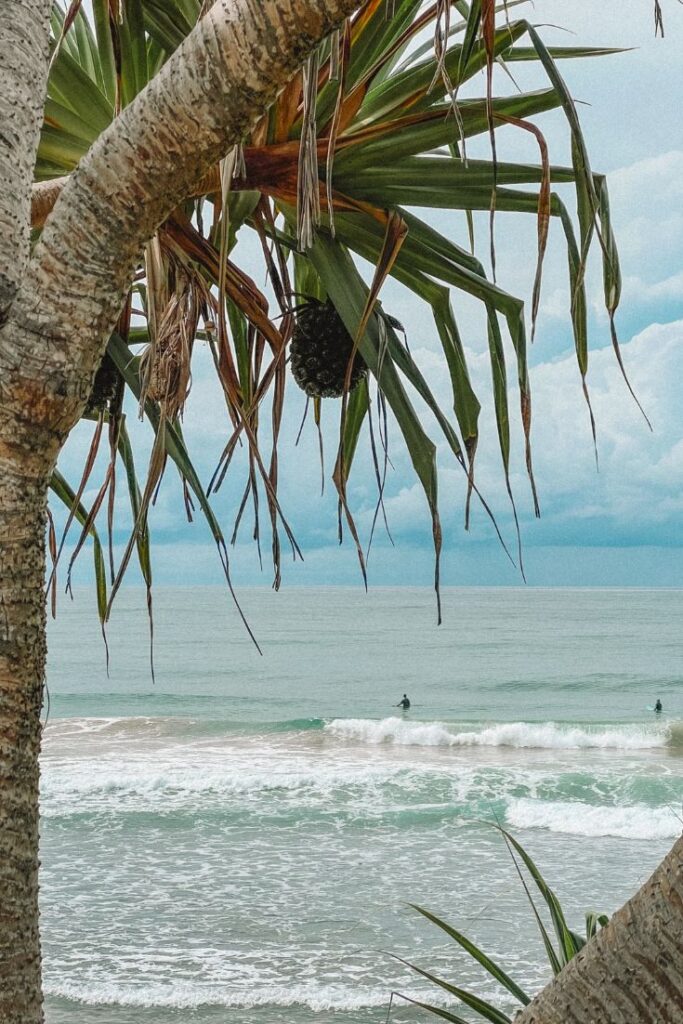 surfers in the ocean at lennox head